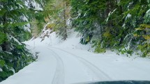 Footage from a snow mobile along path in trees