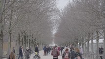 Paris, France - Tunnel of Tree at Jardin des Tuileries Garden on Winter