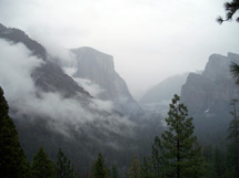A Fog bank shrouds the canyons in Yosemite National Forest in California during a winter day in February.  