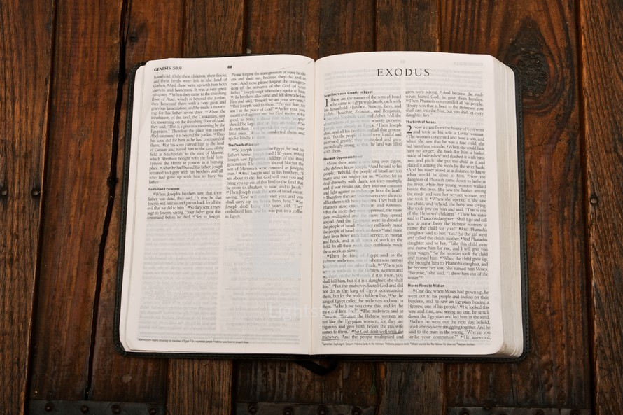 Scripture Titles - Exodus