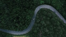 winding road through a green forest 