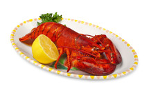 Red lobster with lemon and parsley on white background