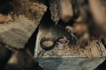 wedding rings on logs 
