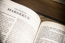 The Book of Habakkuk 