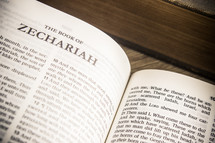 The Book of Zechariah 