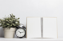 blank paper in a notebook, houseplant, and alarm clock 