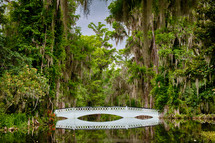 Beautiful white bridge over a reflective river with spanish moss