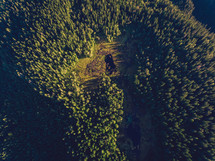 aerial view over forest below 