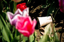 trash and litter amongst the beauty of tulips