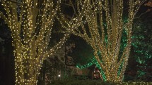 Beautiful Colorful Christmas Lights Trees Around Neighborhood