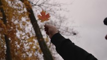 Unrecognizable Man with Black Jacket Holding Autumn Fall Colors Maple Leaf into The Air with Trees on The Background Slow Motion