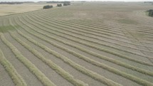 Drone shot of wheat field with smoky atmosphere