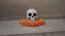 A calavera Day of the Dead Dia de Los Muertos, human sugar skull or skeleton and Orange Marigolds Flowers