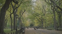 Manhattan, New York City, USA - Fall Foliage Colors at Central Park - The Mall and Literary Walk