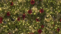 Beautiful Colorful Christmas Lights Trees Around Neighborhood