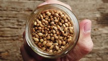 Coriander Seeds In A Jar