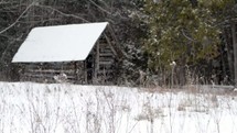 wood shed and falling snow 