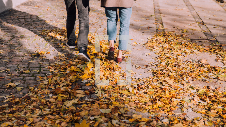 fall leaves on a sidewalk in Copenhagen 