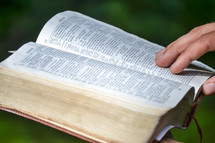 a person reading the Bible 