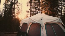 Tent in the forest at dawn: Camp Shoot - 1 of 4
