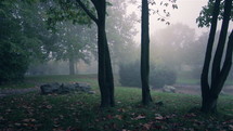 Autumn forest with fog.