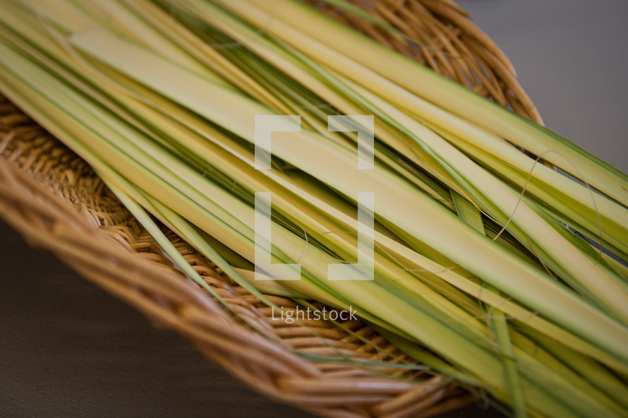 palm fonds in a straw basket 