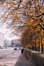 walking down a sidewalk in fall in Copenhagen 