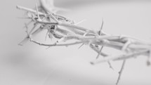 White crown of thorns on white background, rotating slowly.