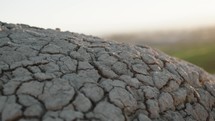 Dry Ground With Cracks 