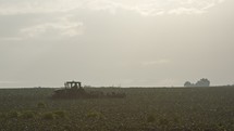 silhouette of farm workers during early morning broccoli harvest in a field