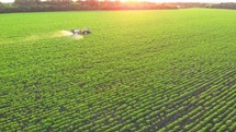 Aerial video of tractor spraying soil and young crop in springtime in field. Tractor spraying pesticides on soy field with sprayer at spring. Nozzle of the tractor sprinklers sprayed.