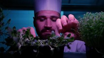 Chef Checking The Quality Of His Plants 