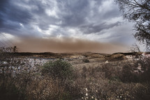 dust storm 