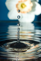 macro water drop 