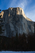 Mountain in Yosemite with trees