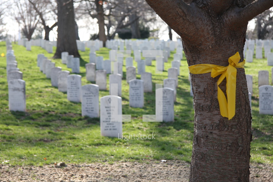yellow bow around a tree at Arlington National Cemetery 