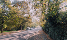 neighborhood street in autumn 