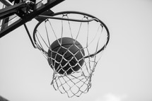 basketball in the net 