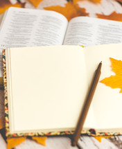journal, pen, open Bible, and fall leaves 
