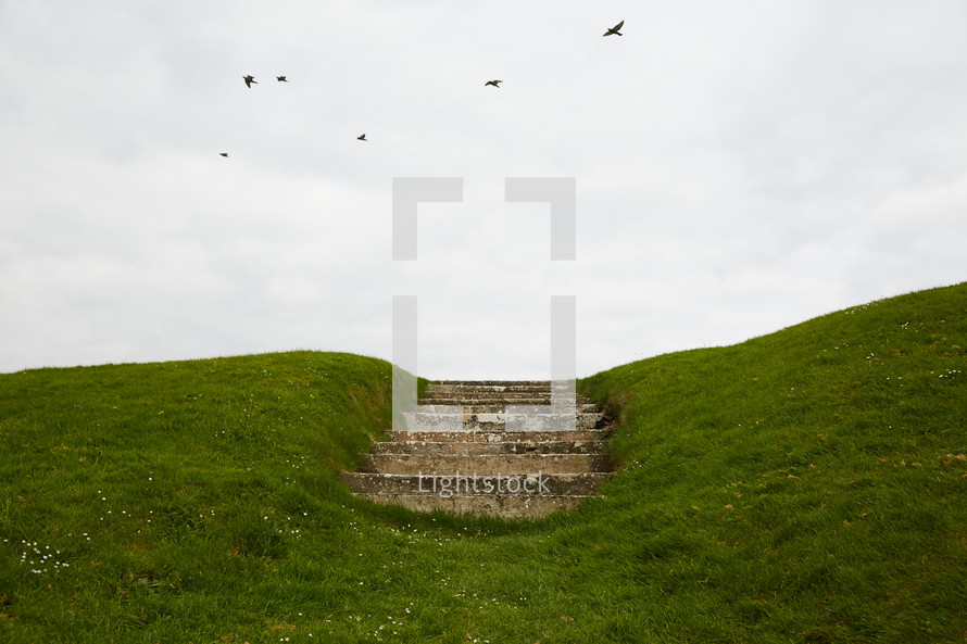 green hill and stone steps 