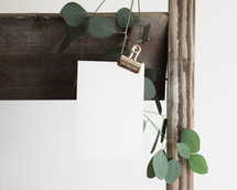 fence, clip, envelope and a twig with green leaves on white background