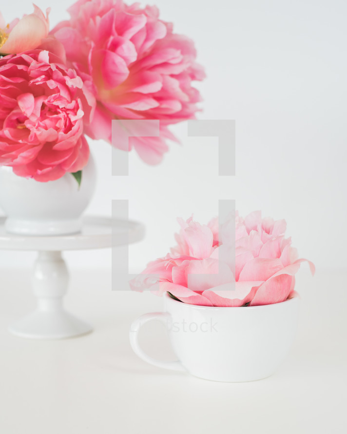 pink peonies and vase on white background 