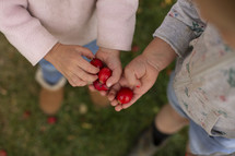 toddlers holding tiny apples 