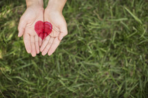 A heart painted onto two hands extended over green grass.