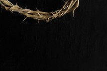 edge of a crown of thorns 