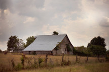 old barn and a grazing cow 