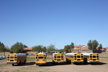 school buses parked in school yard