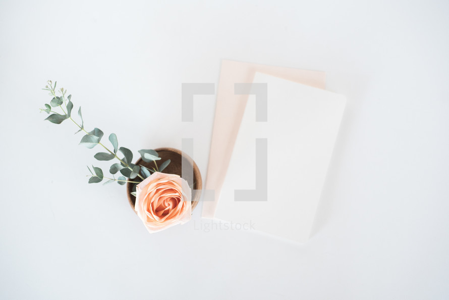 rose in a wooden bowl and stationary 