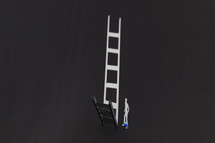 man with a ladder 