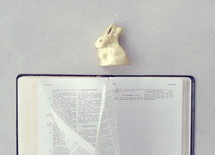 candy Easter bunny on the pages of a Bible 